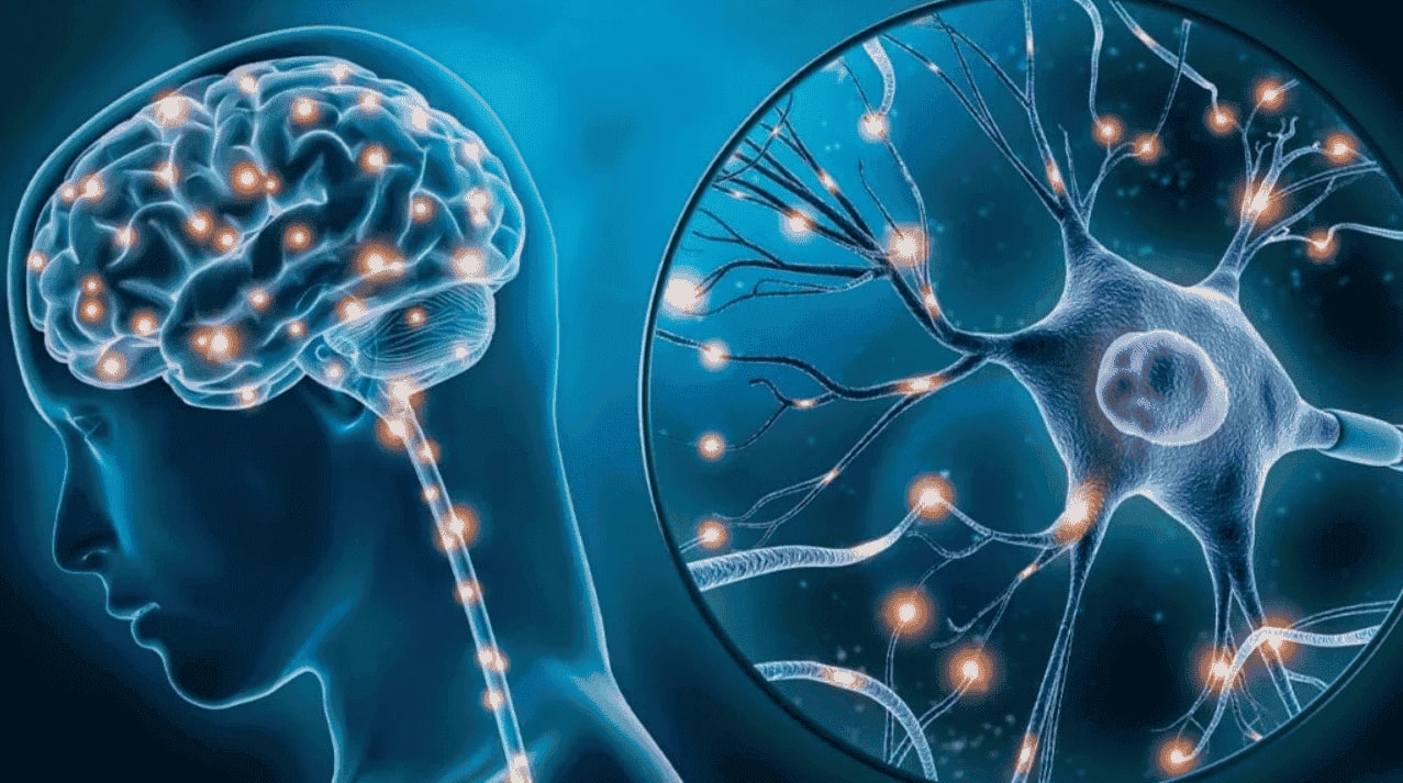 efektivitas ganja mengobati neurodegeneratif